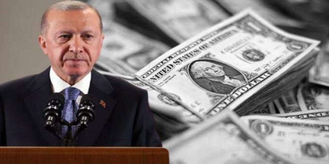Erdoğan'ın yeni finansal alternatifine yorum: "Ülkenin kafasını gözünü yardılar"