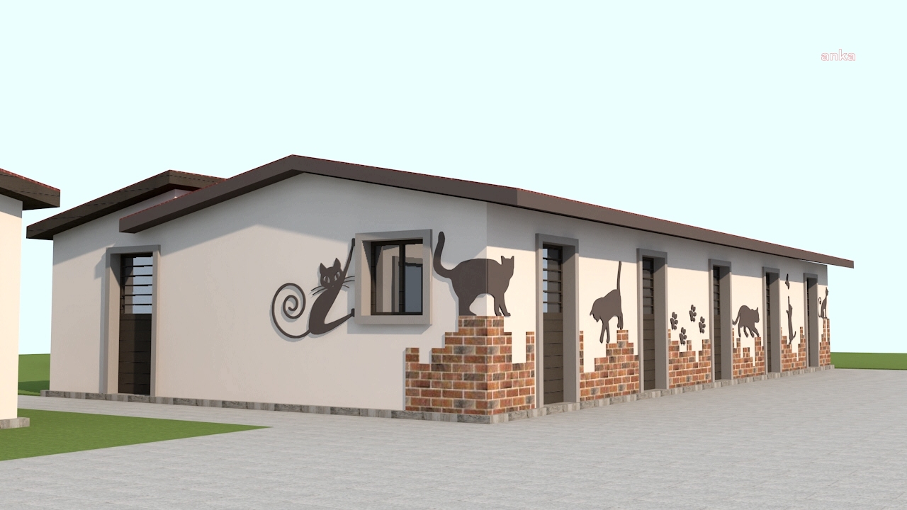 Kuşadası Belediyesi'nden hasta ve sahipsiz kedilere özel tedavi ünitesi