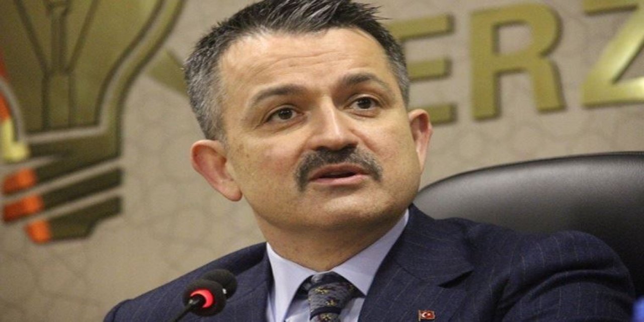 Bakan Pakdemirli 'sabır' istedi: "Mutlaka düşüş olacaktır"