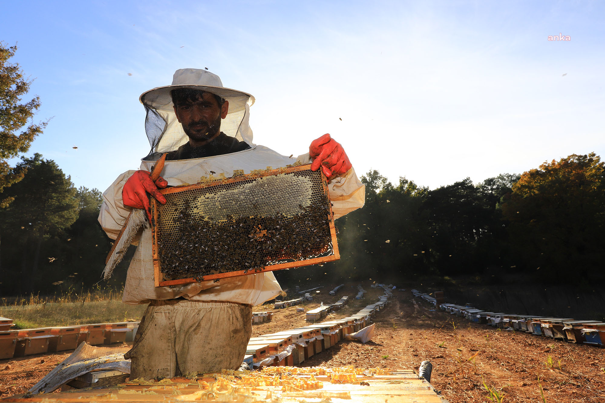Muğla Büyükşehir'den arıcının yüzünü güldüren proje