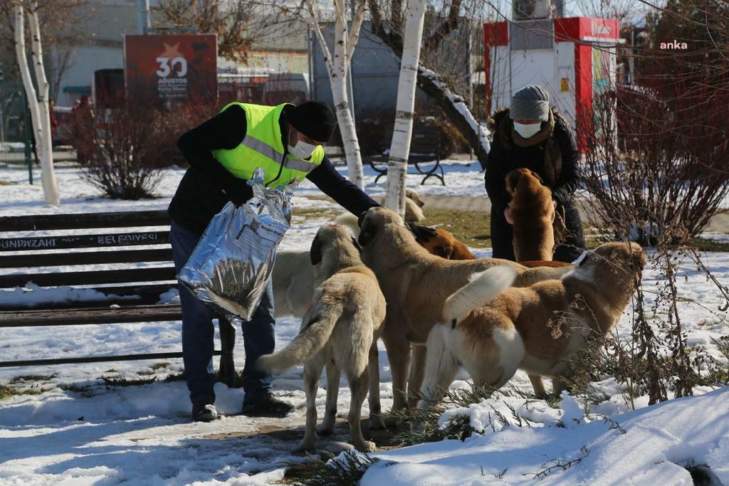 Odunpazarı Belediye Başkanı Kurt: "Yasaları çiğneyemeyiz, bu yüzden sokak hayvanlarını yakalayıp barınağa kapatamayız"
