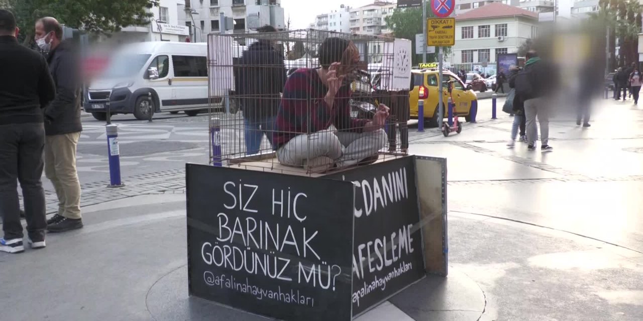 İzmir'de sokak hayvanları için kafesli eylem