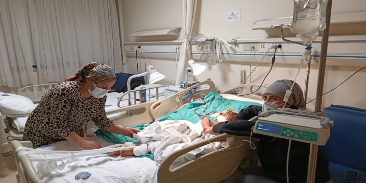 Pitbull saldırısına uğramıştı: Asiye'nin durumu hakkında açıklama