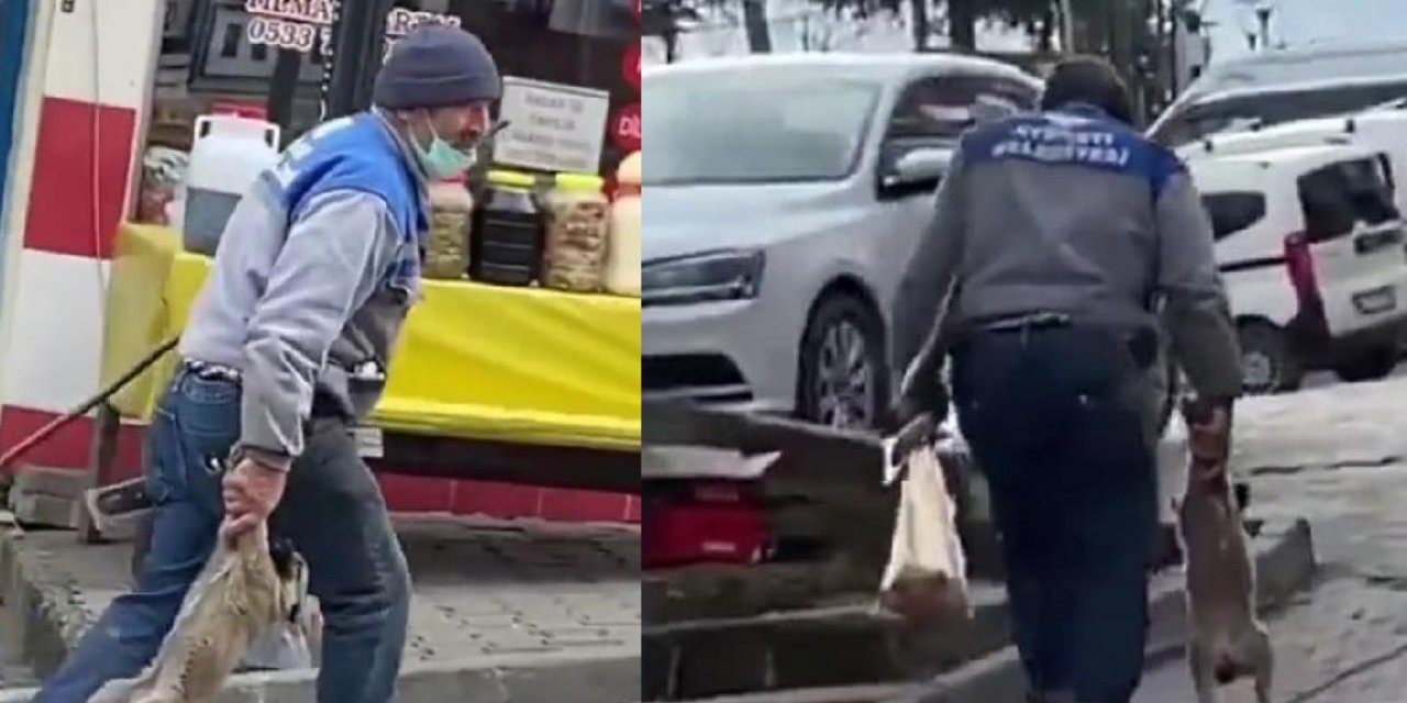 Yavru köpeği patilerinden tutup taşıyan kişiye 1500 TL para cezası