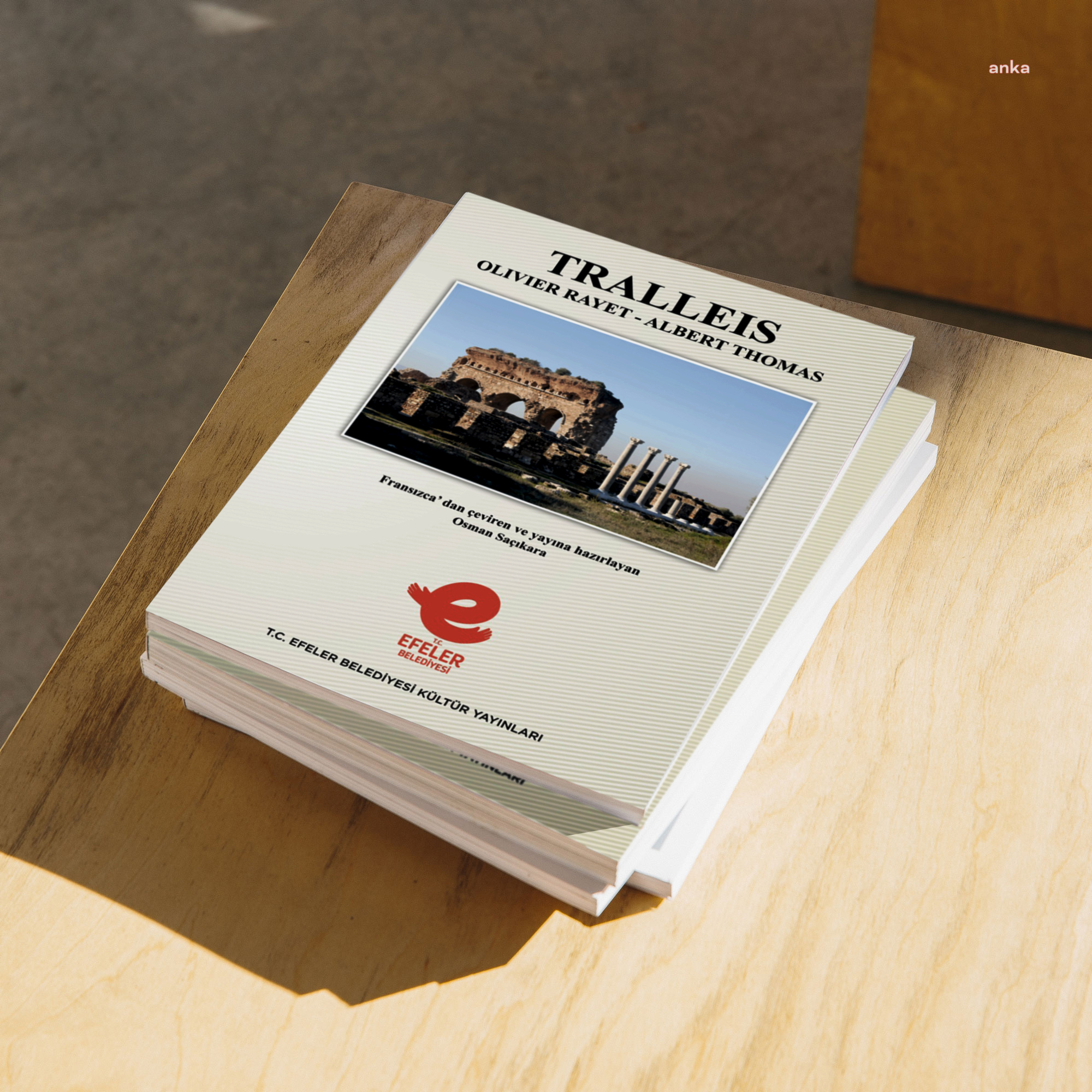 Efeler Belediyesi'nden kent kültürüne destek