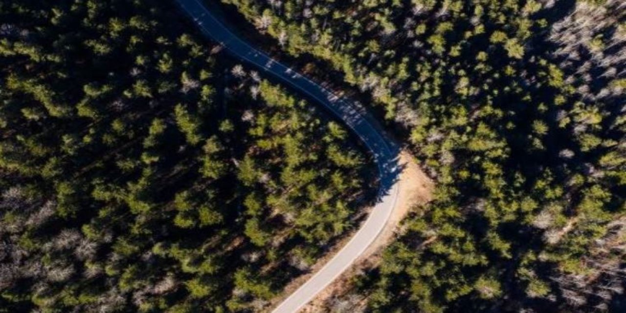 Resmi Gazete'de yayınlandı: 714 dönüm alan hakkında karar