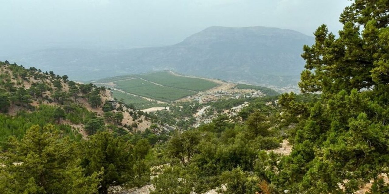 Erdoğan imzaladı, Resmi Gazete'de yayımlandı: 2 günde 109 hektar alan orman sınırı dışına çıkartıldı