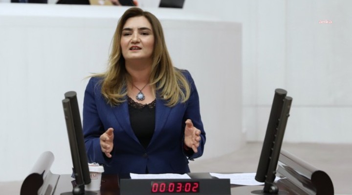 CHP'li Sevda Erdan Kılıç: "Kamu çalışanlarının diplomalarının sahte olup olmadığının tespit edilmesi gerekir"