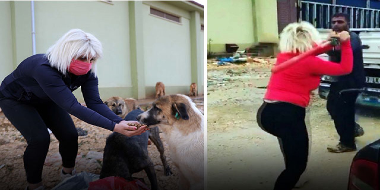 Köpeklerin mamasını çalan adamın gözünün yaşına bakmadı! Beyzbol sopasıyla dövdü...