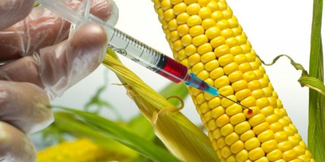 Tarım ve Orman Bakanlığı bünyesindeki denetleme kurulu kaldırıldı