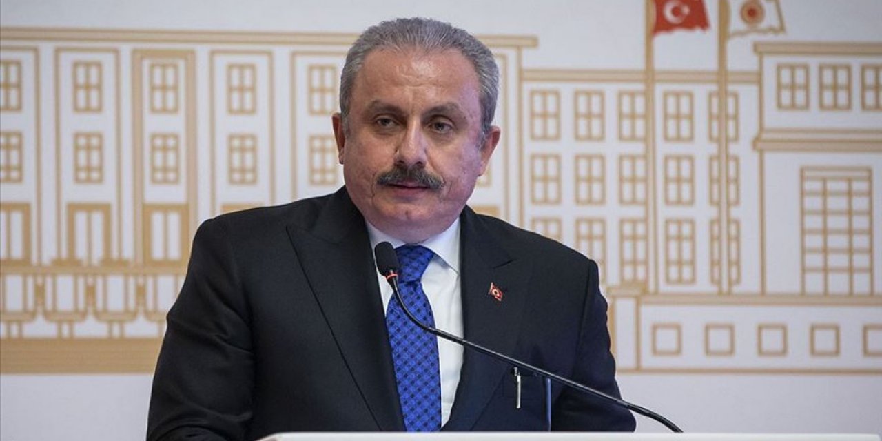 Mustafa Şentop'un HDP çıkışı Bakan Nebati'yi kızdıracak