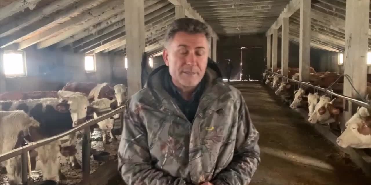 Sarıbal: "Kamucu bir yatırıma Ağrı'da acil ihtiyaç var"