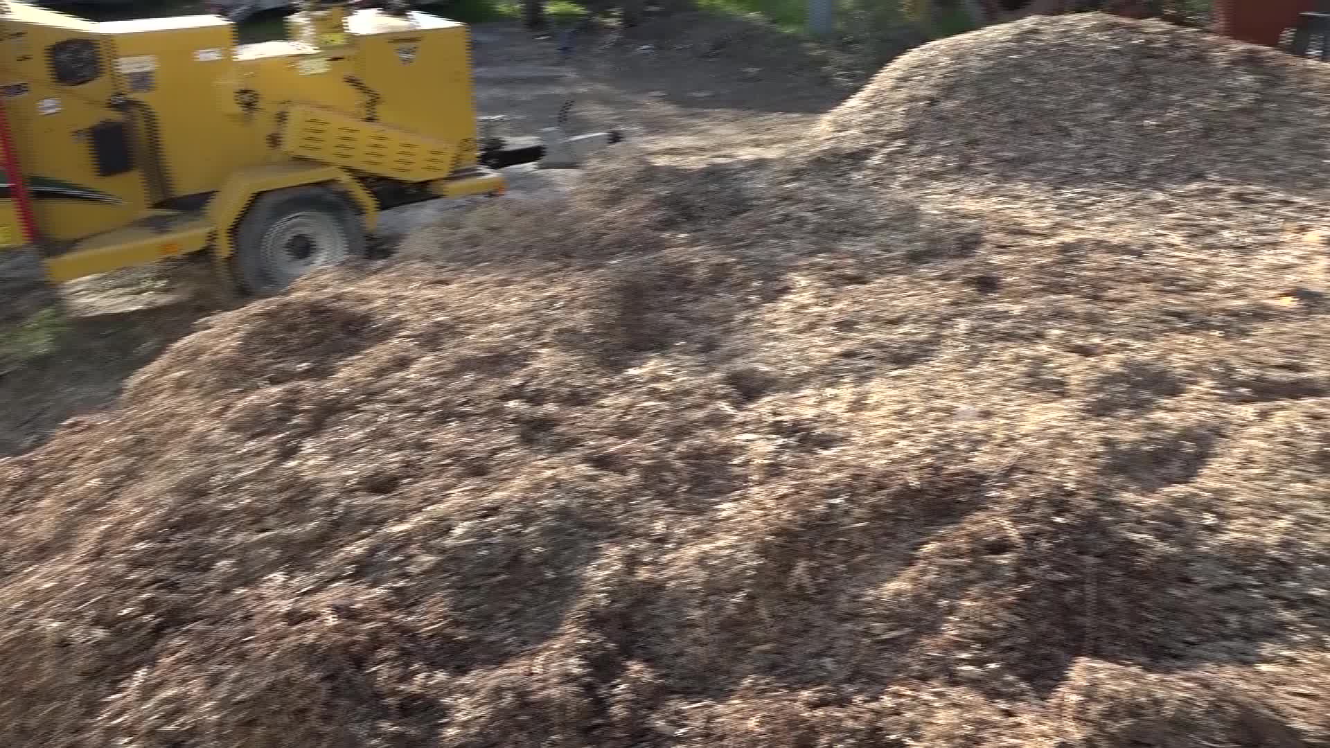 İzmir'de bitki atıkları ekonomiye kazandırılacak