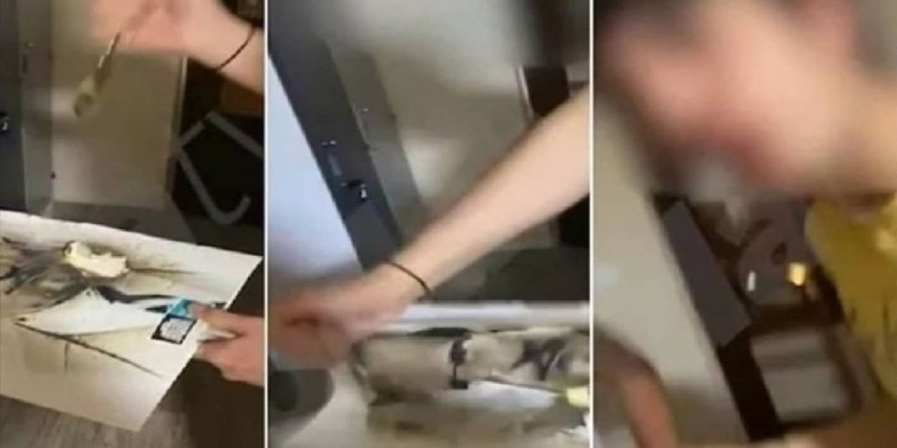 Kabataş Erkek Lisesi'nde Atatürk portresine saldırı yapılmıştı: Atatürkçü Düşünce Derneği harekete geçti