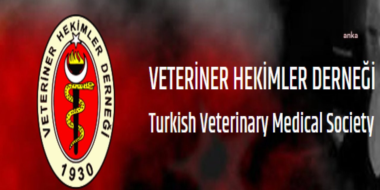 Veteriner Hekimler Derneği: "İnsan sağlığının vazgeçilmesi sağlıklı gıdadır. Kaçak et değildir”