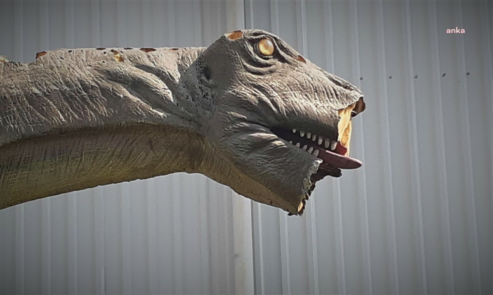 Ankapark davasında gelişme