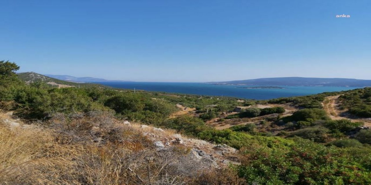Bodrum Belediye Başkanı Aras'tan YK Enerji'nin açıklamasına yanıt