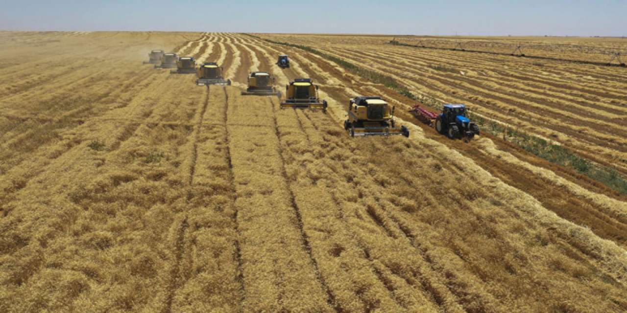 Türkiye'nin büyüyen tarım sorunu: 'Kendi buğdayımızı dahi yurt dışından temin etmek durumunda kalıyoruz' tezi maalesef gerçekleşiyor
