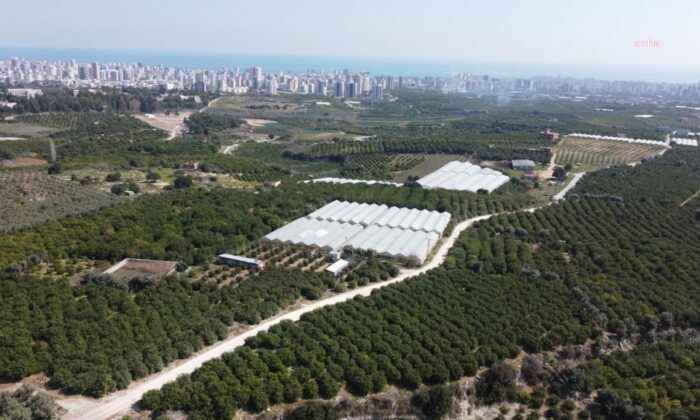 Danıştay "acele kamulaştırma" hakkında kararını verdi: "Kamu yararı yok"