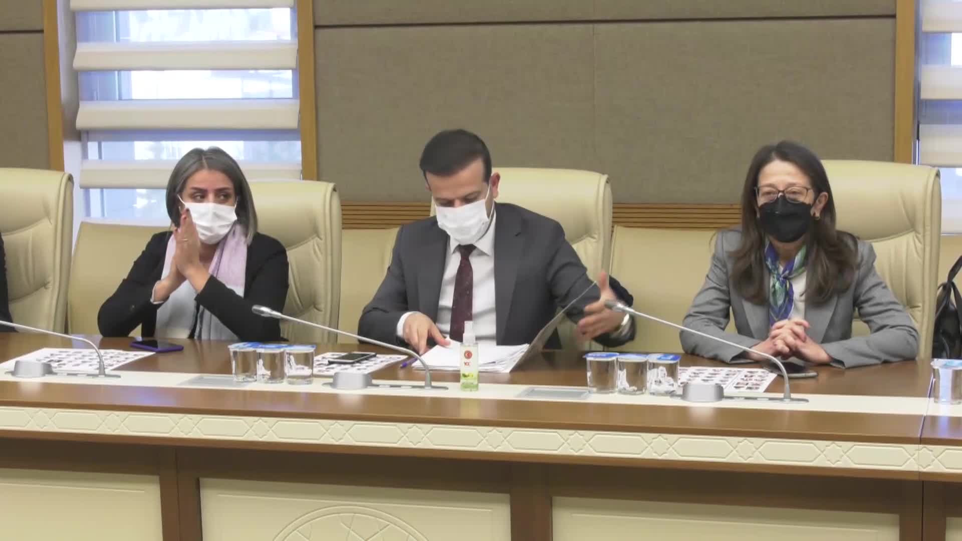 TBMM'de HDP’li Semra Güzel için ilk adım: Beş kişilik hazırlık komisyonu oluşturuldu