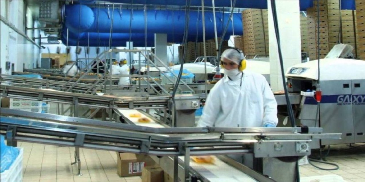 Kamu bankası "yumurtacı" oldu! İflasın eşiğinden dönen Keskinoğlu Tavuk'un büyük ortağı...