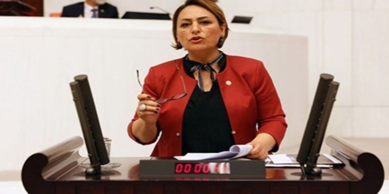 CHP'li Şevkin: Atatürk Havalimanı hatası Adana’da da tekrarlanamaz