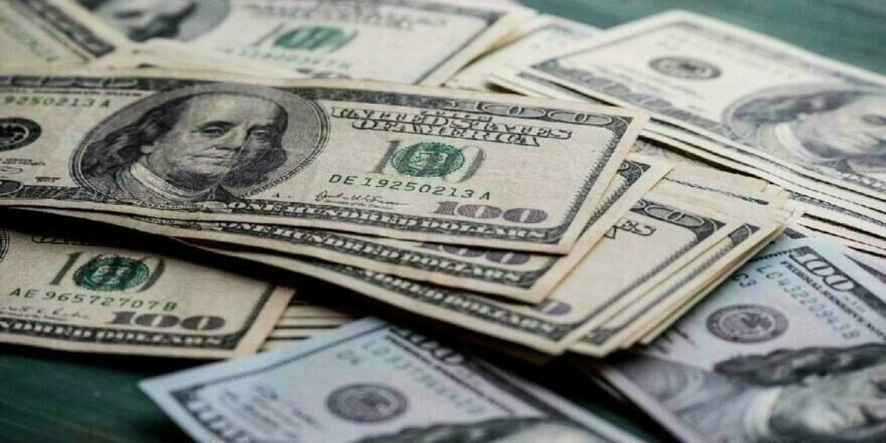 Evren Devrim Zelyut'tan korkutan dolar tahmini: 'Önce 14 sonra 18 aşılacak'