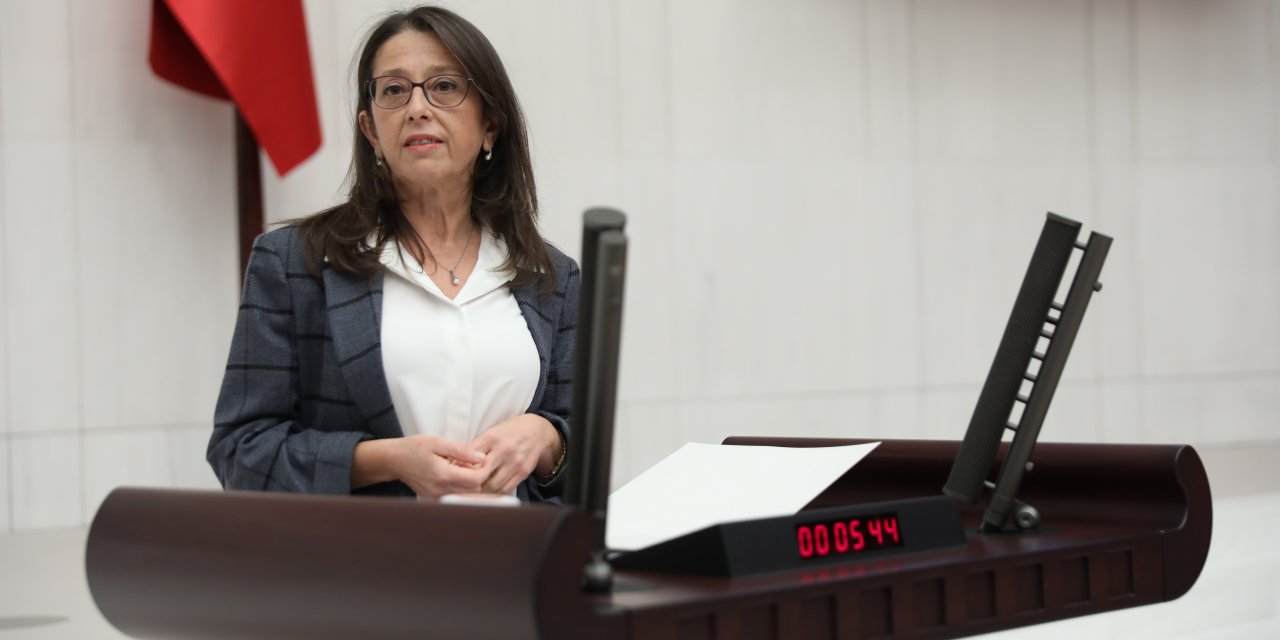 HDP’li Ersoy: “Sağlık emekçilerinin ekonomik ve sosyal haklarının iyileştirilmesi için  yasa teklifi hazırlığınız var mı?"”