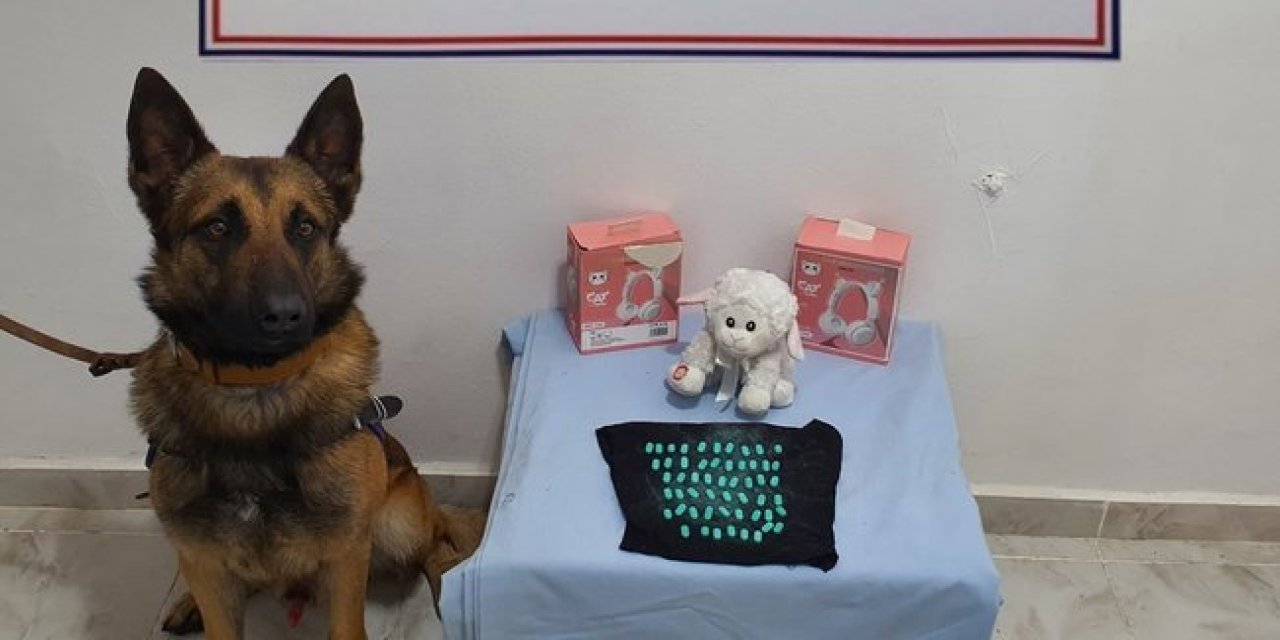 'Kuzu'dan uyuşturucu çıktı