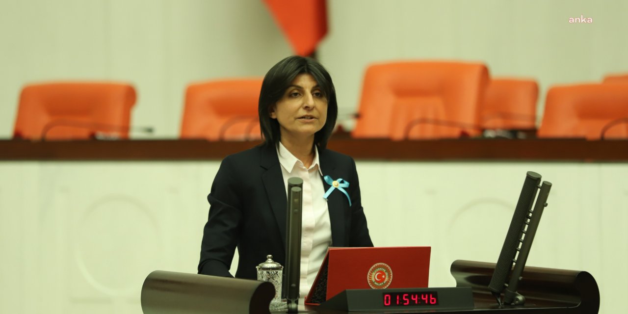 CHP'li Sibel  Özdemir terörle mücadelede yaralanan herkesin 'Gazi' sayılması için kanun teklifi verdi