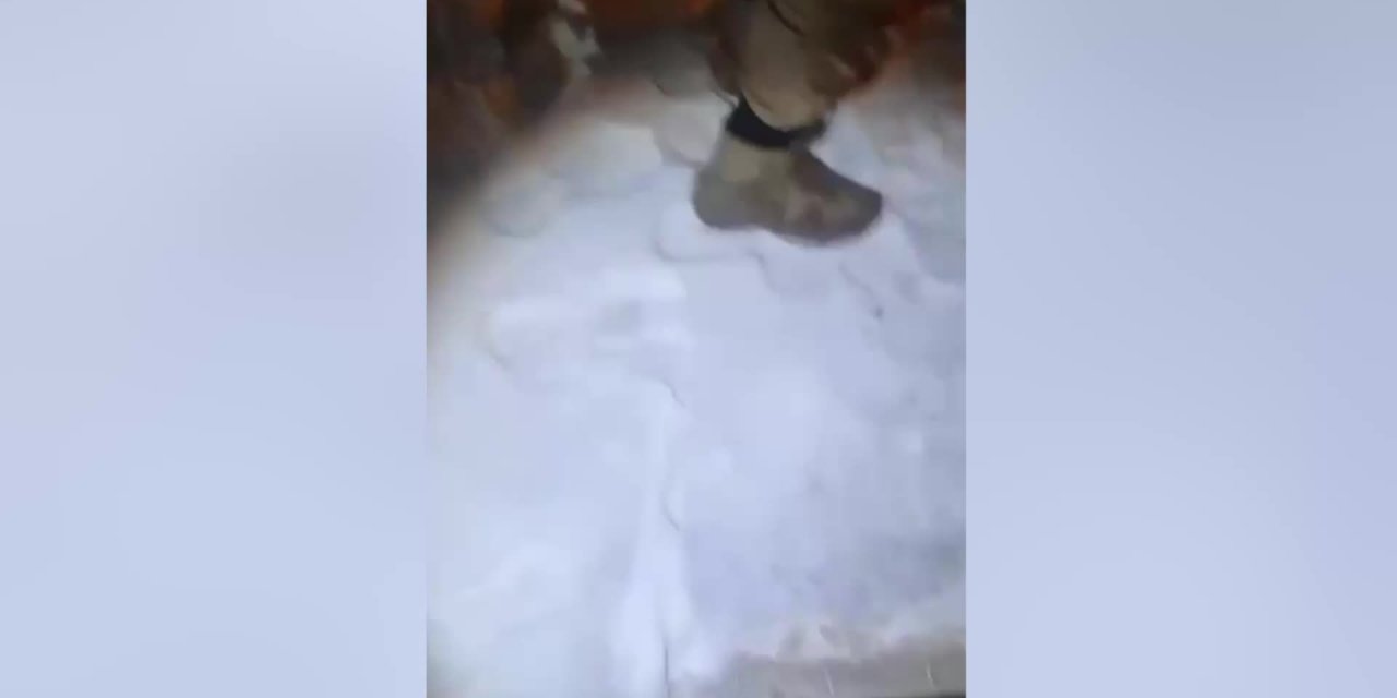 Van'da kamyon kasasında 174 düzensiz göçmen yakalandı