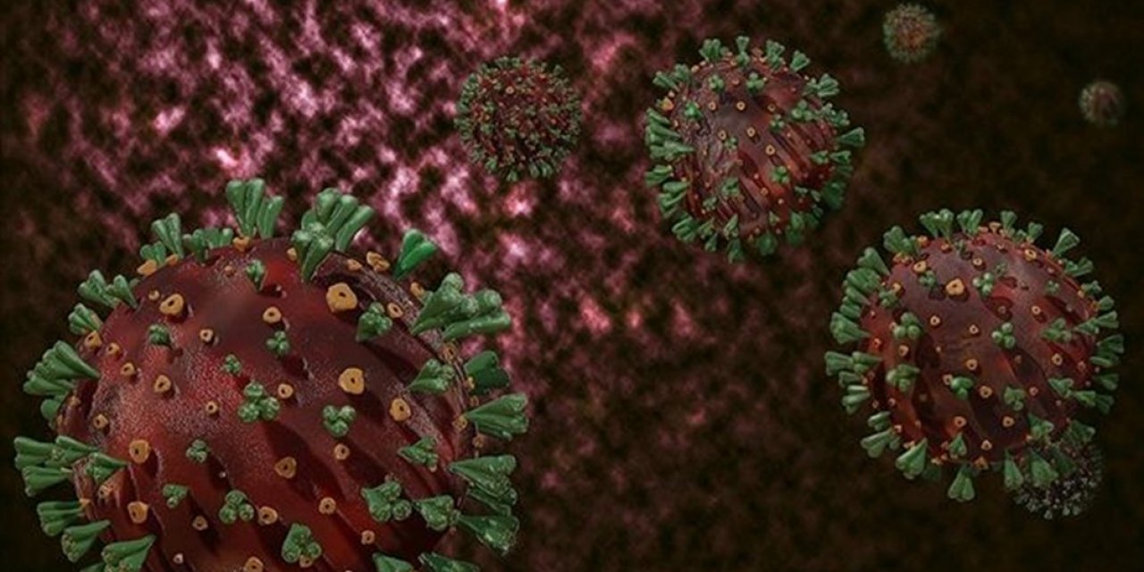 DSÖ'den dikkat çeken açıklama: Yeni bir koronavirüs tespit edildi