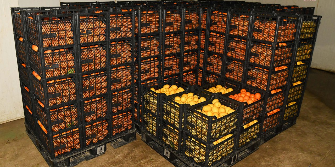 Tepebaşı Belediyesi'nin soğuk hava deposunda 685 ton ürün muhafaza edildi