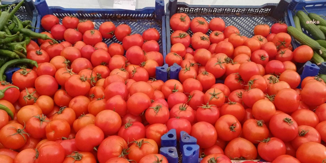 Domatesin hal fiyatında rekor artış