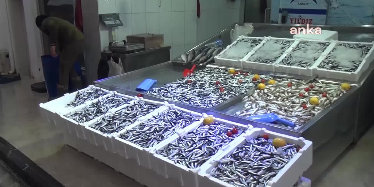 Sinoplu Balıkçı: "Restoranımızı kapattık, son faturalardan sonra işin içinden çıkamıyoruz"