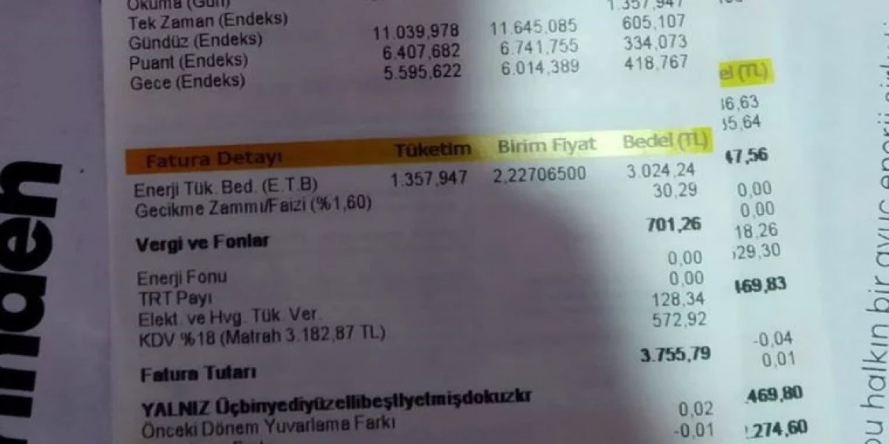 Kampanya başlatıldı: Elektrik faturaları davalık oluyor