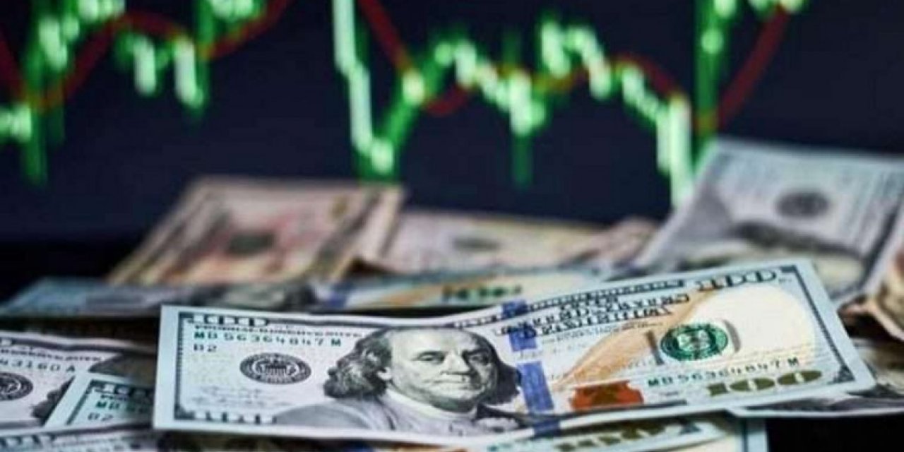 Dünyaca ünlü kuruluştan endişelendiren dolarizasyon uyarısı: "Türkiye maruz kalacak"