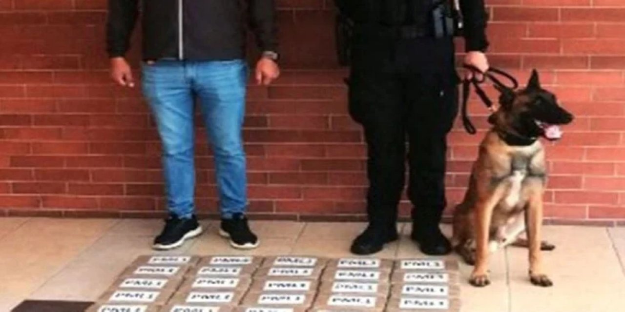 Varış noktası Türkiye: Muz konteynerinde paket paket kokain ele geçirildi