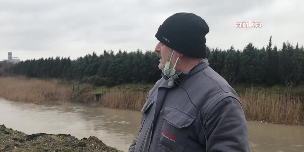 Ergene Nehri çevresinde yaşayan vatandaş: "Bizden sonrakiler temiz bir çevre ve hayat bulamayacak"