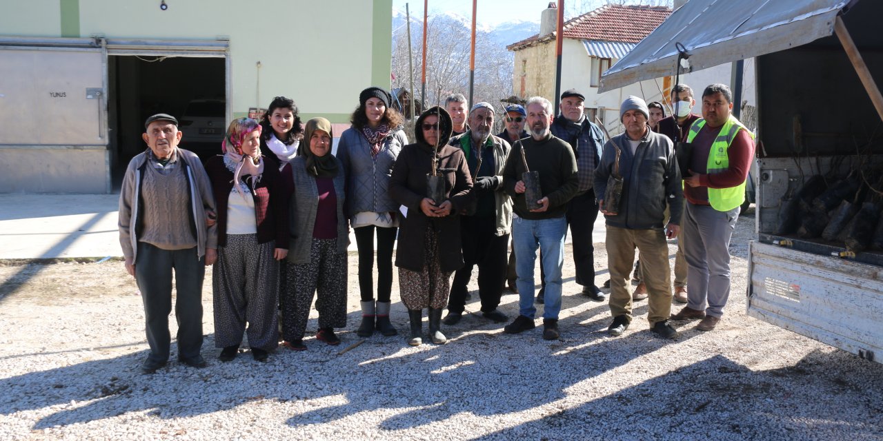 Antalya Büyükşehir, çiftçilere ceviz ve meyve ağacı fidanı dağıtıyor