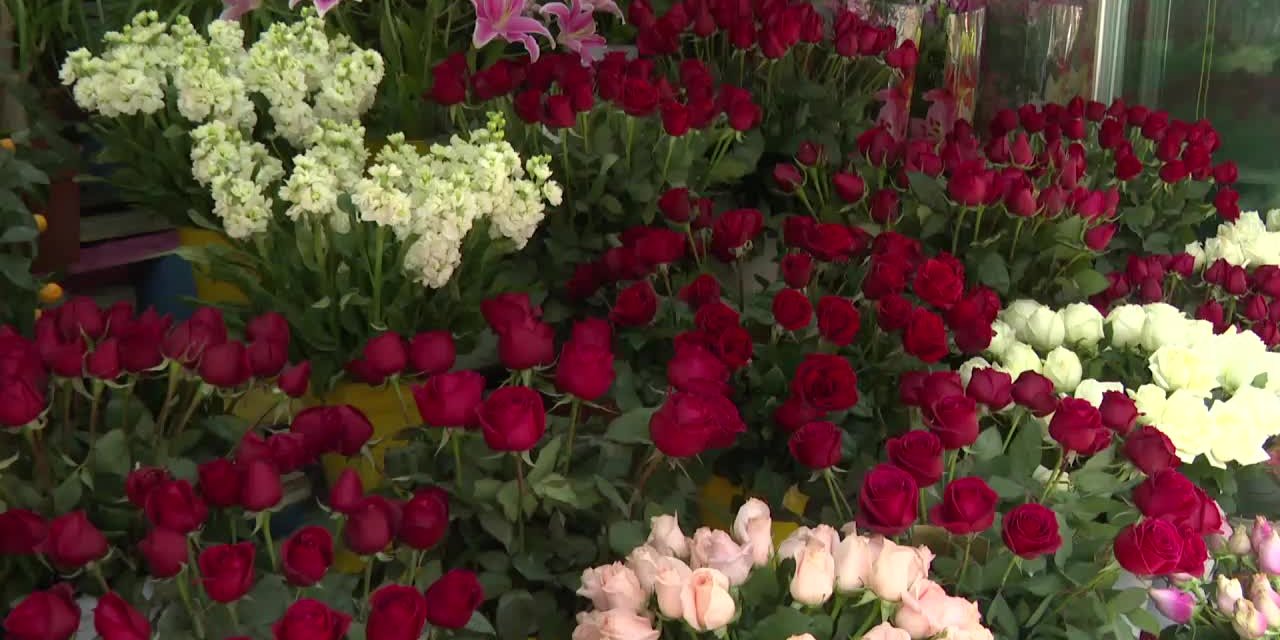 Yurttaşlar ekmek ile gül arasında kaldı: "Yağı nasıl alacağız, elektriği nasıl ödeyeceğiz?"