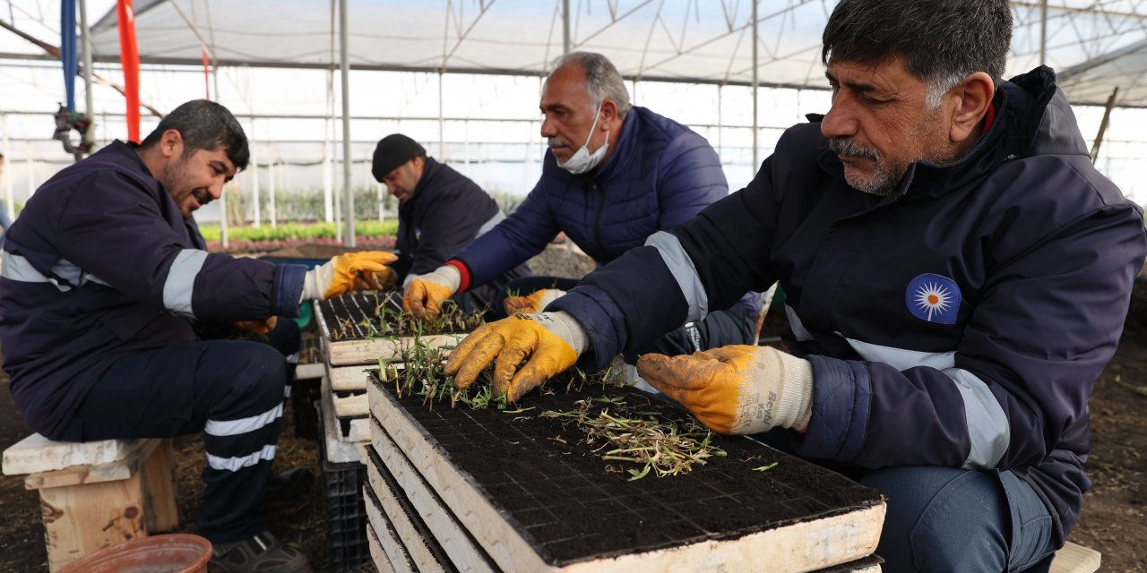 Antalya Büyükşehir Belediyesi, bitki üretiminden 6 milyon lira tasarruf sağladı