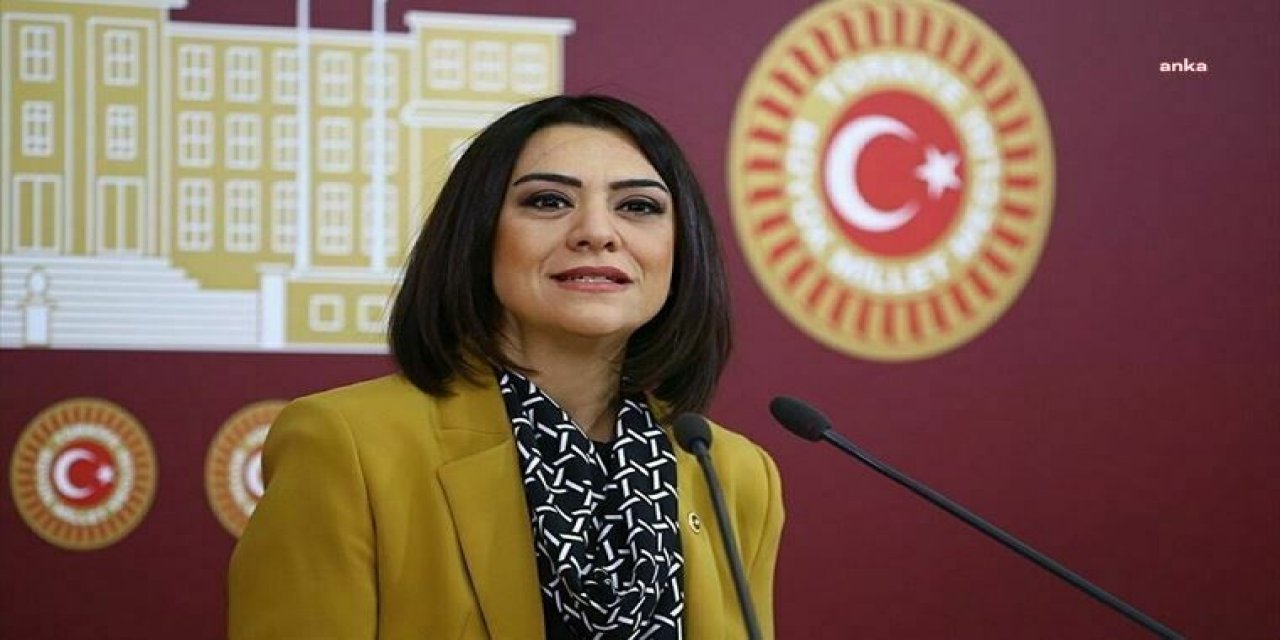 CHP'li Taşçıer: "İlaçta kur güncellemesi yılda en az iki kez olmalı"