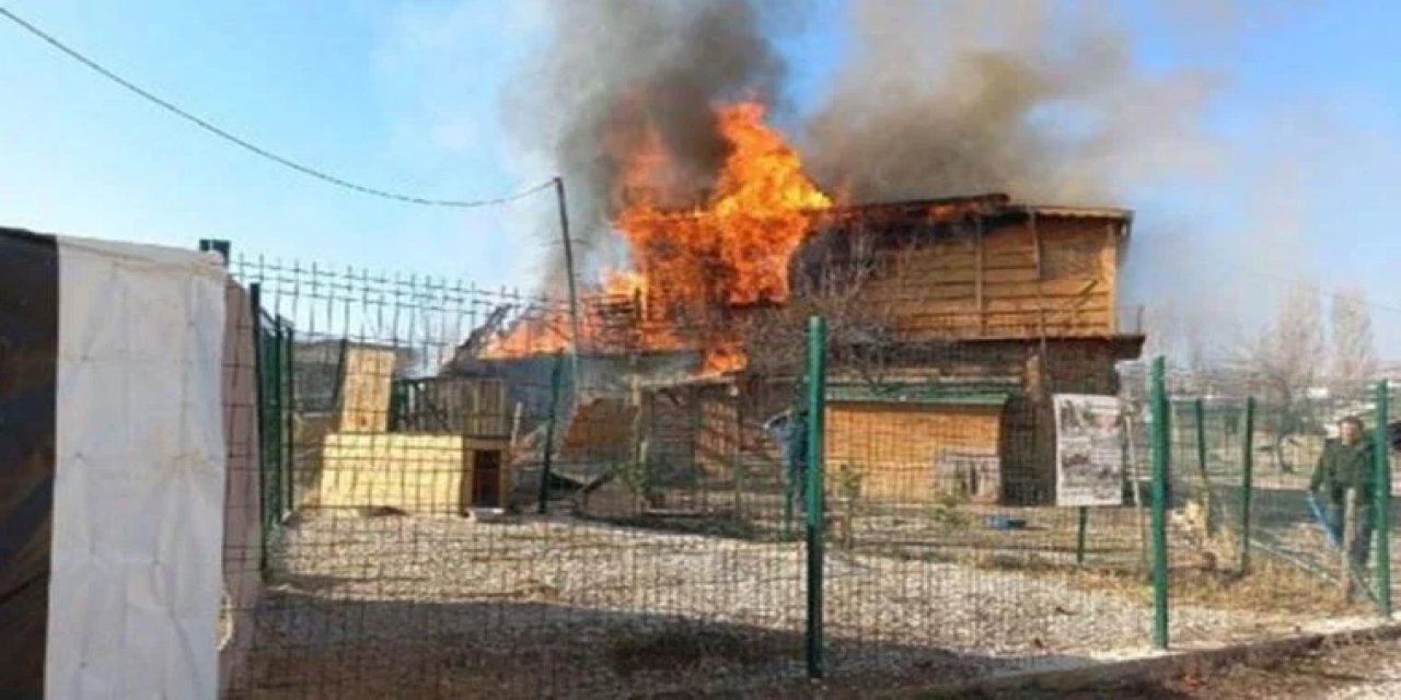 Ankara'da barınak yangını; 4 köpek hayatını kaybetti