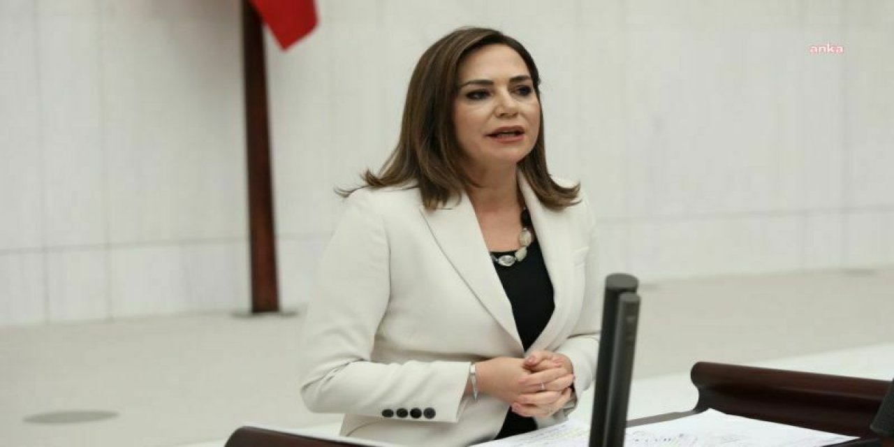 CHP'li Yüceer, Üniversitelerin akademik performansını TBMM gündemine taşıdı