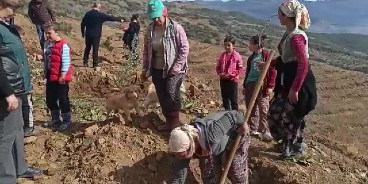 Köseler köylüleri: "Dağlarımızda maden değil incir kestane istiyoruz"