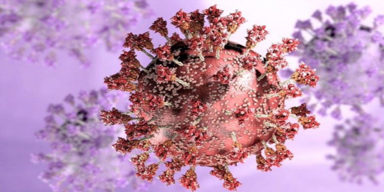 Bilim insanlarından 'BA.2' uyarısı: "Omicron'dan daha ciddi hastalığa neden oluyor"