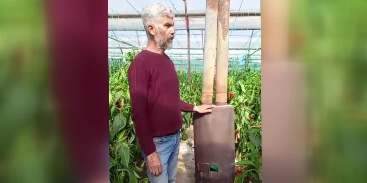 Antalya'da seracılık yapan Mehmet Yıldırım: "Bu yıl 23 bin 500 lira fidan parası verdik"