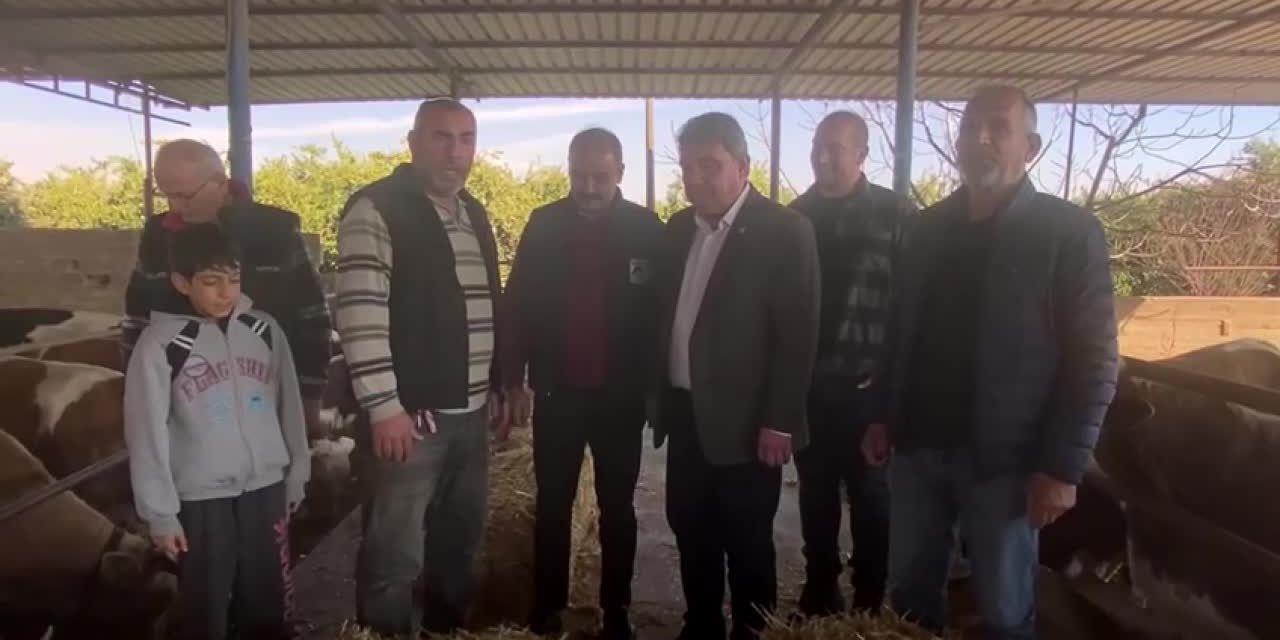 Mersinli Besici isyan etti: "Eskiden buzağılarımızı beslerdik, şimdi ufakken satmak zorunda kalıyoruz"