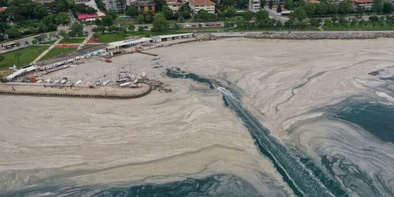 Cumhurbaşkanı Başdanışmanı müsilaj için İBB’yi suçladı